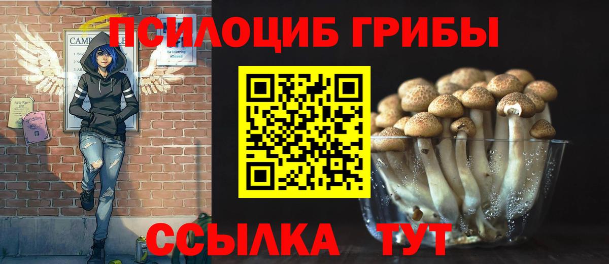 Псилоцибиновые грибы Magic Shrooms Кимовск