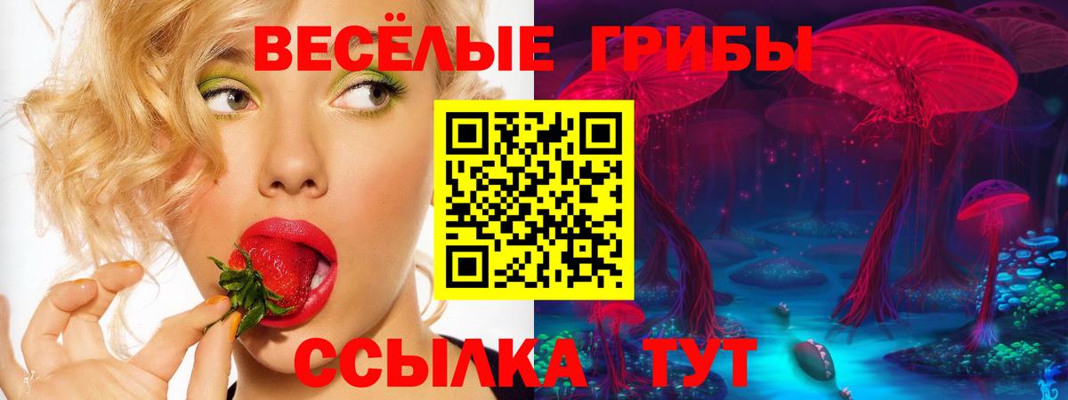Кимовск  где можно купить наркотик  Вход с VPN  Псилоцибиновые грибы ЛСД 